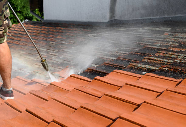 Best Pressure Washing Near Me  in Pinetops, NC