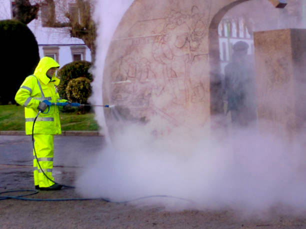 Best Local Pressure Washing Services  in Pinetops, NC