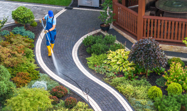 Best House Pressure Washing  in Pinetops, NC